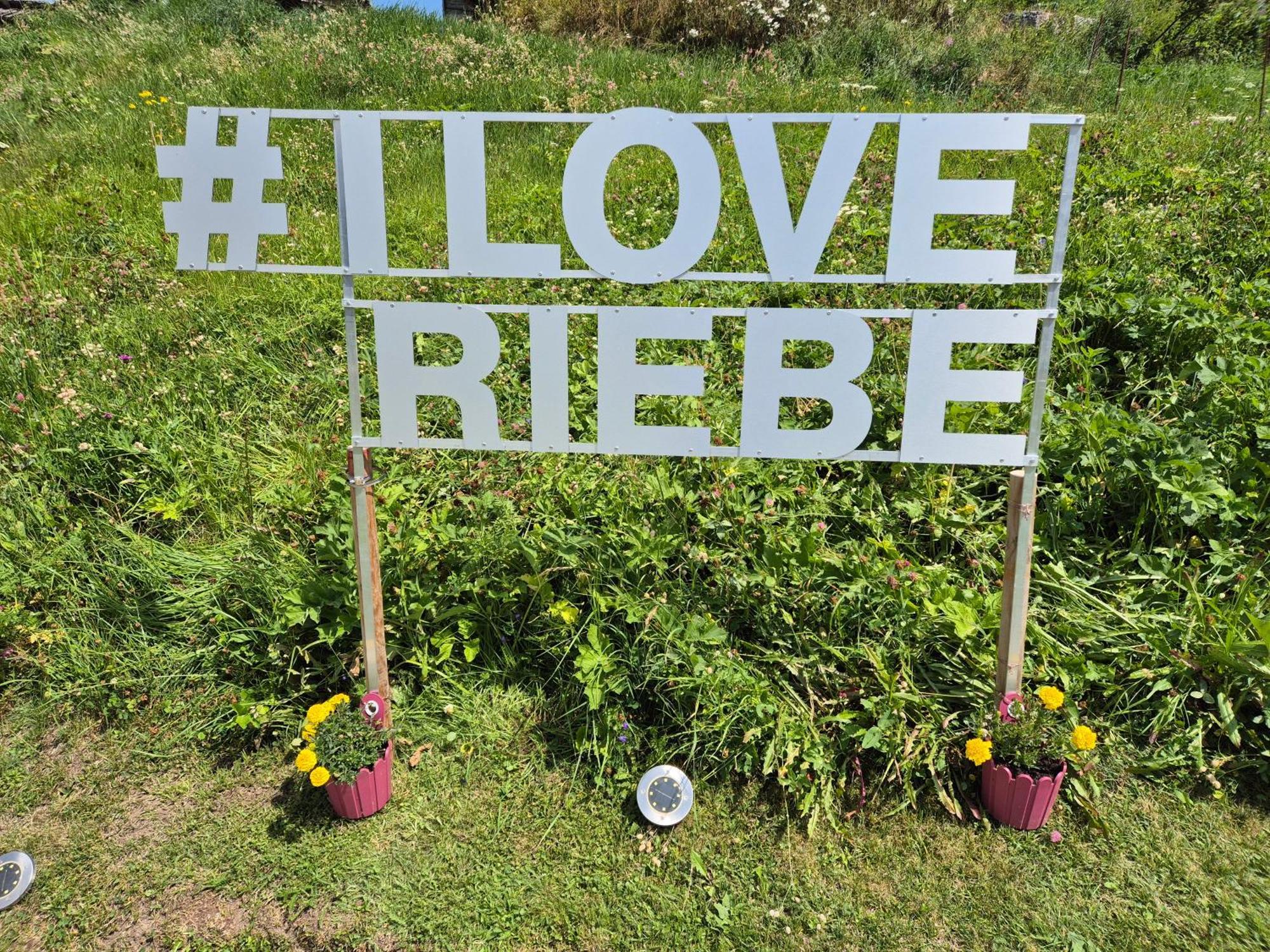 Appartamento Riebe 331 Grächen Esterno foto