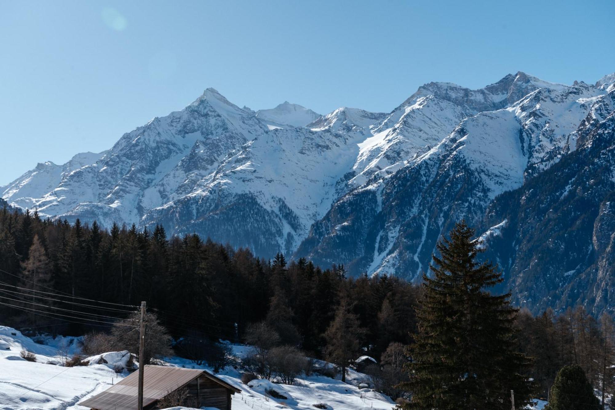 Appartamento Riebe 331 Grächen Esterno foto