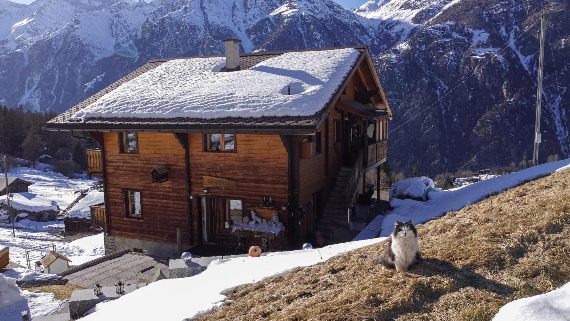 Appartamento Riebe 331 Grächen Esterno foto